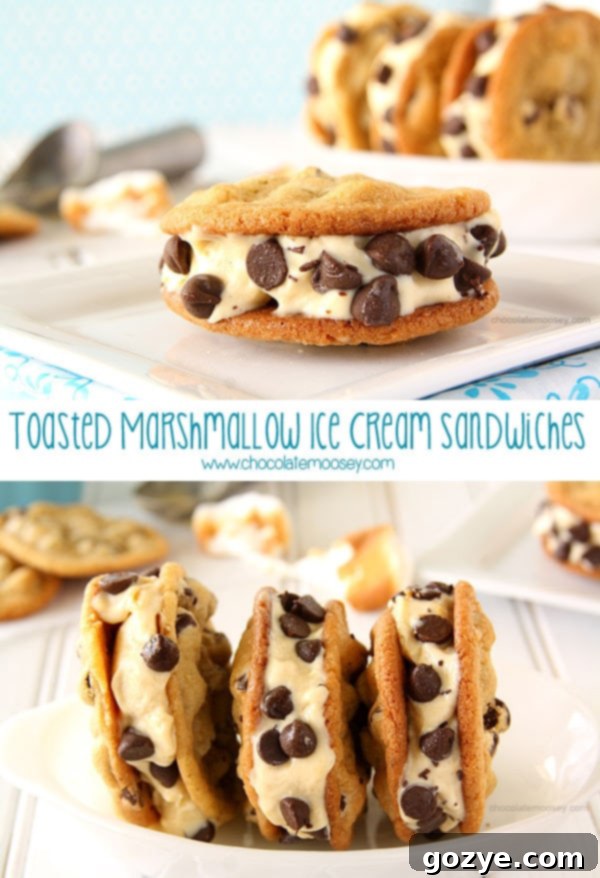 Delicious Toasted Marshmallow Ice Cream Cookie Sandwich close-up