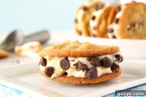 Hands holding a freshly made Toasted Marshmallow Ice Cream Cookie Sandwich