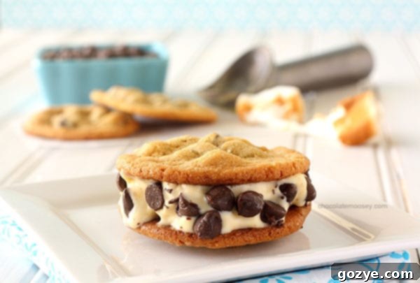 Assembling a Toasted Marshmallow Ice Cream Cookie Sandwich