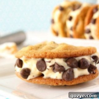 Toasted Marshmallow Ice Cream Cookie Sandwiches Recipe Image