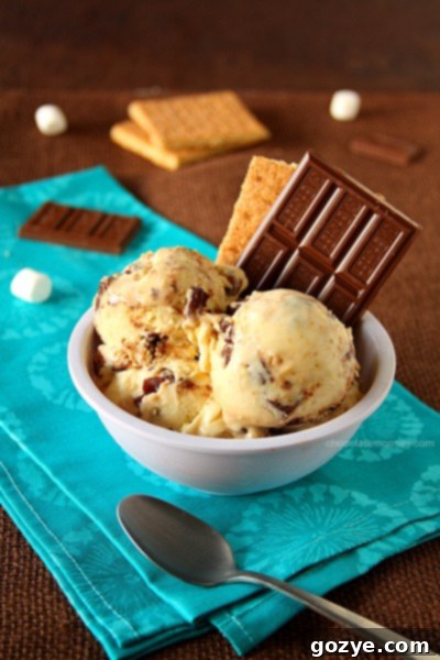 Delicious Homemade S'mores Ice Cream with Toasted Marshmallows and Chocolate Swirls