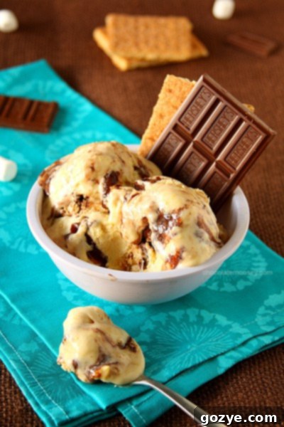 A perfectly scooped bowl of Homemade S'mores Ice Cream, ready to be devoured