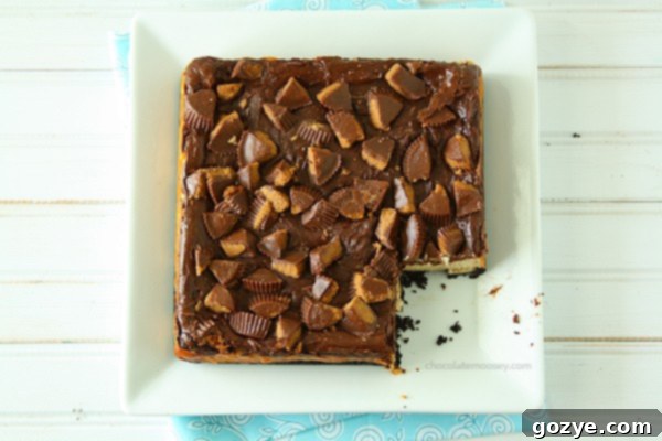 Close-up of a Chocolate Peanut Butter Cup Cheesecake Square showing layers | www.chocolatemoosey.com