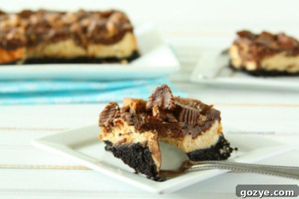 Close-up of a Chocolate Peanut Butter Cup Cheesecake Square showing the rich topping | www.chocolatemoosey.com