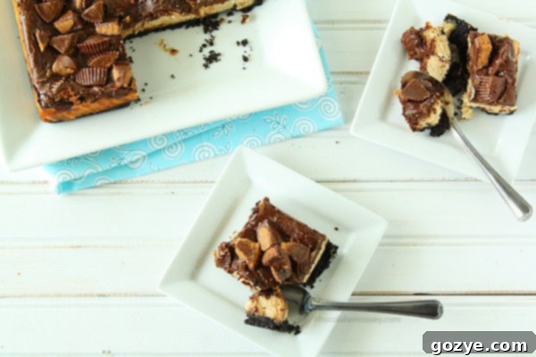 Overhead shot of a full pan of Chocolate Peanut Butter Cup Cheesecake Squares | www.chocolatemoosey.com