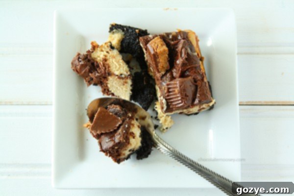 Another overhead view of the finished Chocolate Peanut Butter Cup Cheesecake Squares in a pan | www.chocolatemoosey.com