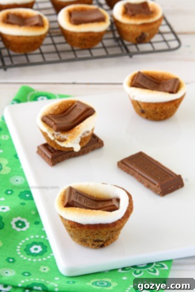 Delicious S'mores Chocolate Chip Cookie Cup, golden brown marshmallow and chocolate