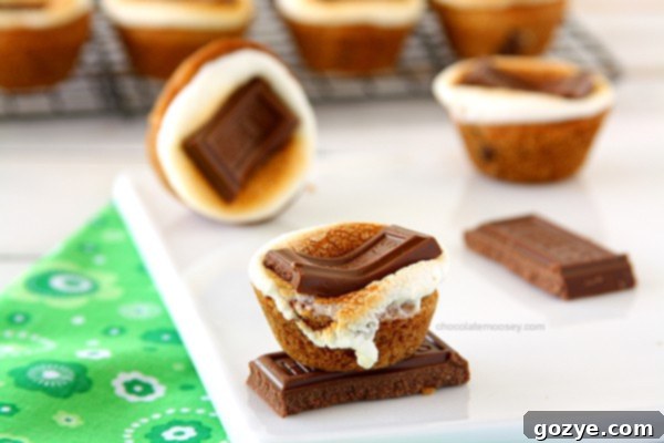 Close-up of S'mores Chocolate Chip Cookie Cups on a wooden surface