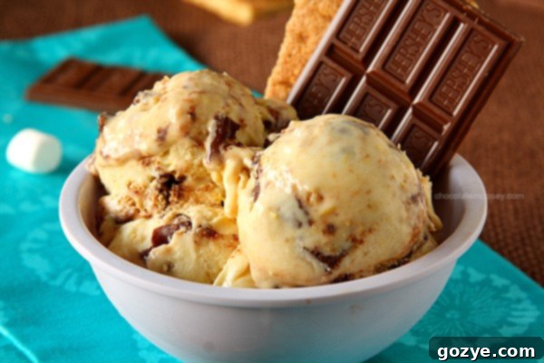 Ultimate Smores Chocolate Chip Cookie Cups 10 Smores Ice Cream