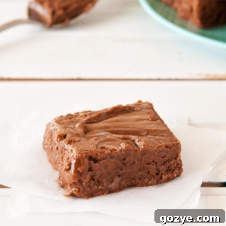 Decadent Nutella Fudge 6 Close up of Nutella fudge square