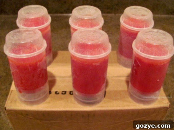 Fruit Popsicles