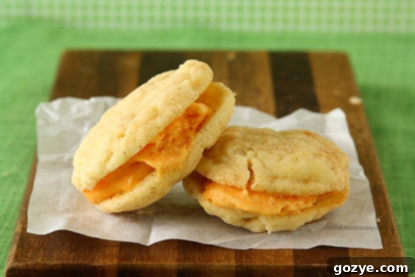 Screaming for Flavor: An I Scream Sandwich Cookbook Review 3 I Scream Sandwich Cookbook Review - Apricot Ice Cream Sandwiches | www.chocolatemoosey.com