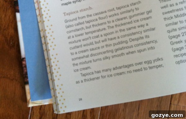 Screaming for Flavor: An I Scream Sandwich Cookbook Review 4 I Scream Sandwich Cookbook Review and Giveaway | www.chocolatemoosey.com