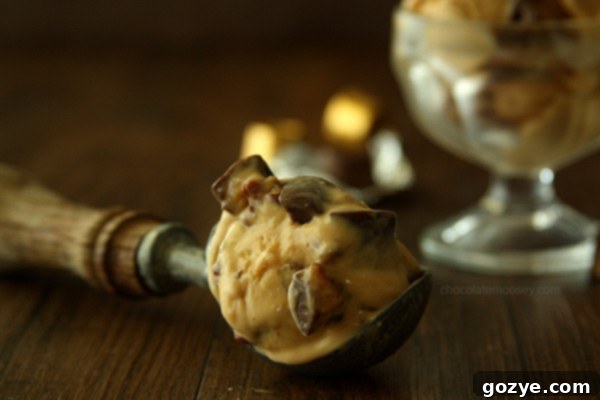 Triple Caramel Pecan Rolo Bliss Ice Cream 6 Scoops of Triple Caramel Pecan Rolo Ice Cream in a bowl
