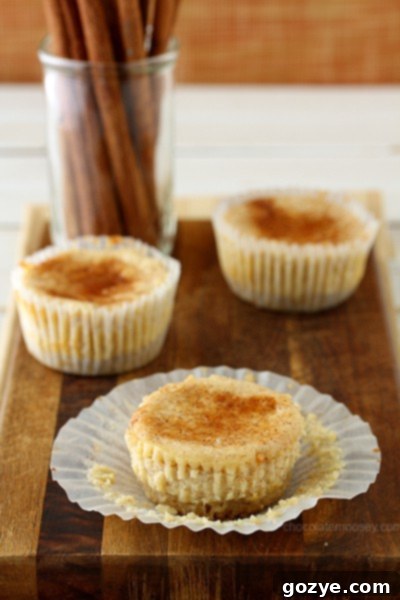 Snickerdoodle Cheesecake Cupcakes | www.chocolatemoosey.com