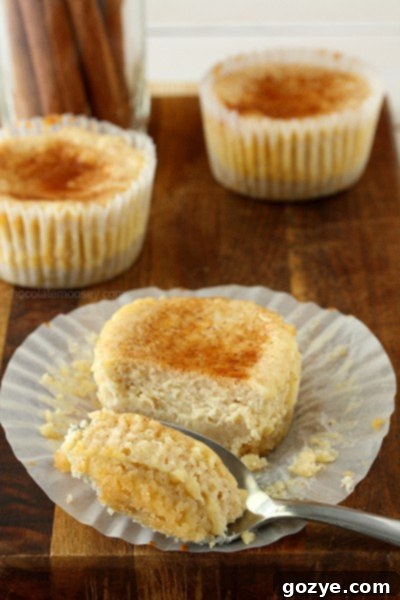 Snickerdoodle Cheesecake Cupcakes | www.chocolatemoosey.com