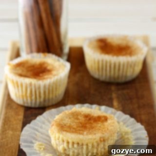 Small Batch Mini Snickerdoodle Cheesecakes