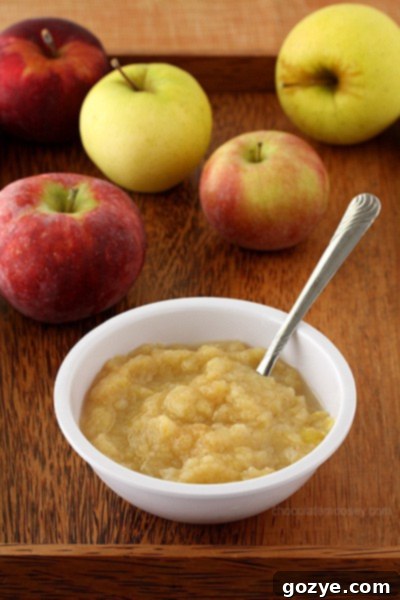 Bowl of fresh homemade applesauce garnished with cinnamon