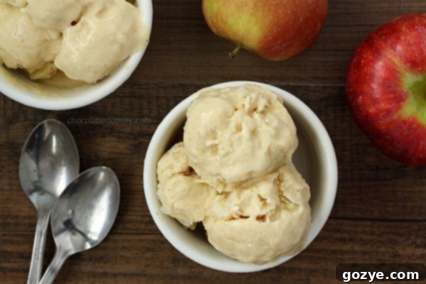 Delicious homemade Apple Cider Ice Cream in a bowl