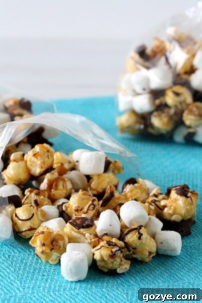 S'mores Popcorn 3 Close-up of S'mores Popcorn with marshmallows and graham crackers on a patterned background