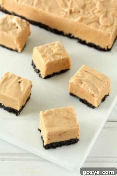 Easy Peanut Butter Oreo Fudge | www.chocolatemoosey.com