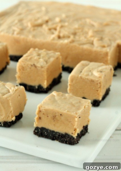 Easy Peanut Butter Oreo Fudge | www.chocolatemoosey.com