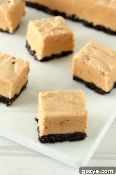 Easy Peanut Butter Oreo Fudge | www.chocolatemoosey.com