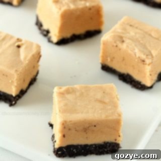 Peanut Butter Oreo Fudge
