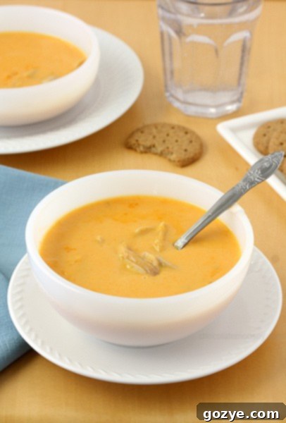 Cheesy Buffalo Chicken Soup | A close-up of a bowl of creamy, orange-hued soup with shredded chicken and a sprinkle of green herbs.