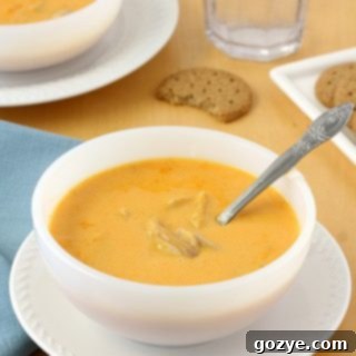 Cheesy Buffalo Chicken Soup