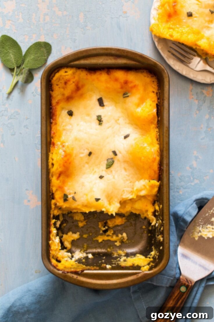 Butternut Squash Lasagna recipe photo